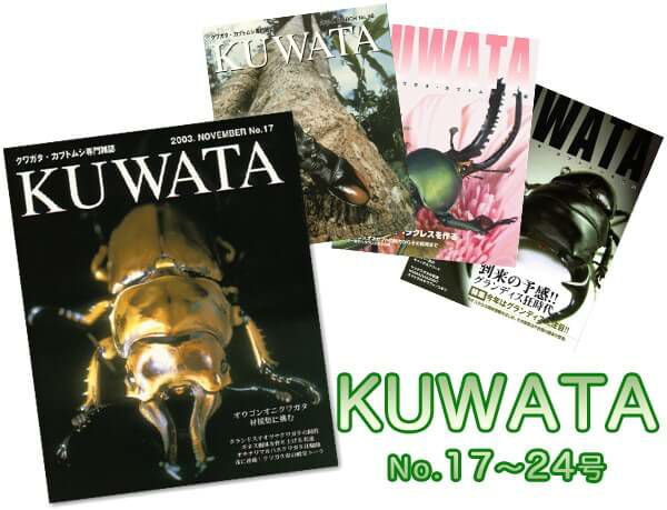 1911　クワガタ・カブトムシ専門雑誌　KUWATA No.20(2004年11月号) 特集：昆虫徒然草　クワガタ飼育の歴史