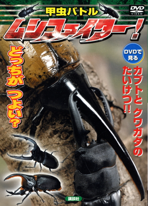 甲虫バトル ムシファイター