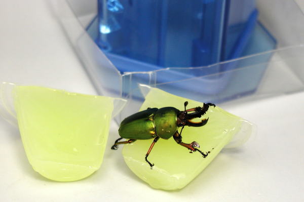 新品 おまけあり カブトムシ クワガタ ゼリースプリッター 新素材新作 ゼリースプリッター