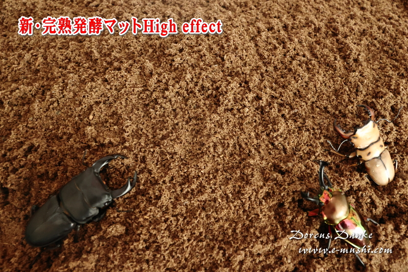 新 完熟発酵マット クワガタ幼虫飼育用 昆虫マット ドルクスダンケ