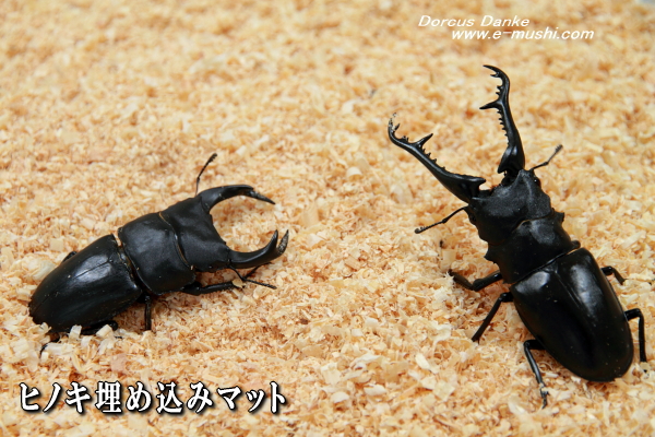 テレビで話題 粗め埋め込みマット 約１０Ｌ袋 - tokyo-bunka.com