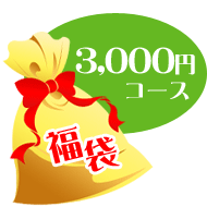 クワガタ カブトムシ福袋3,000円コース
