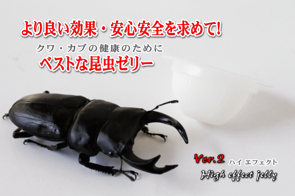 昆虫ゼリー 国産 新タイプ昆虫ゼリーHigh effect 【 Ver.2】｜ドルクスダンケ