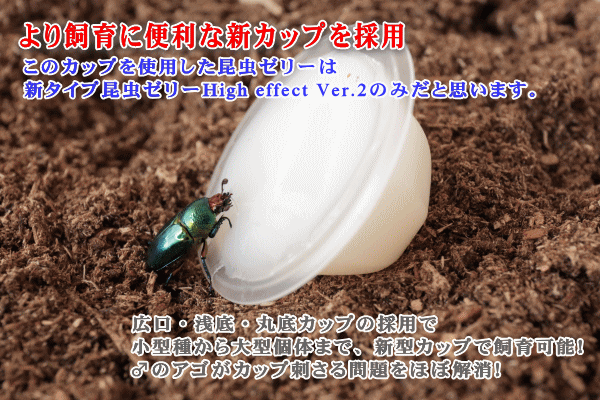 【国産】新タイプ昆虫ゼリーHigh effect 【 Ver.2】