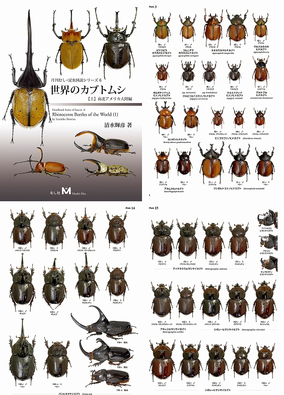 世界のカブトムシ 上 南北アメリカ大陸編