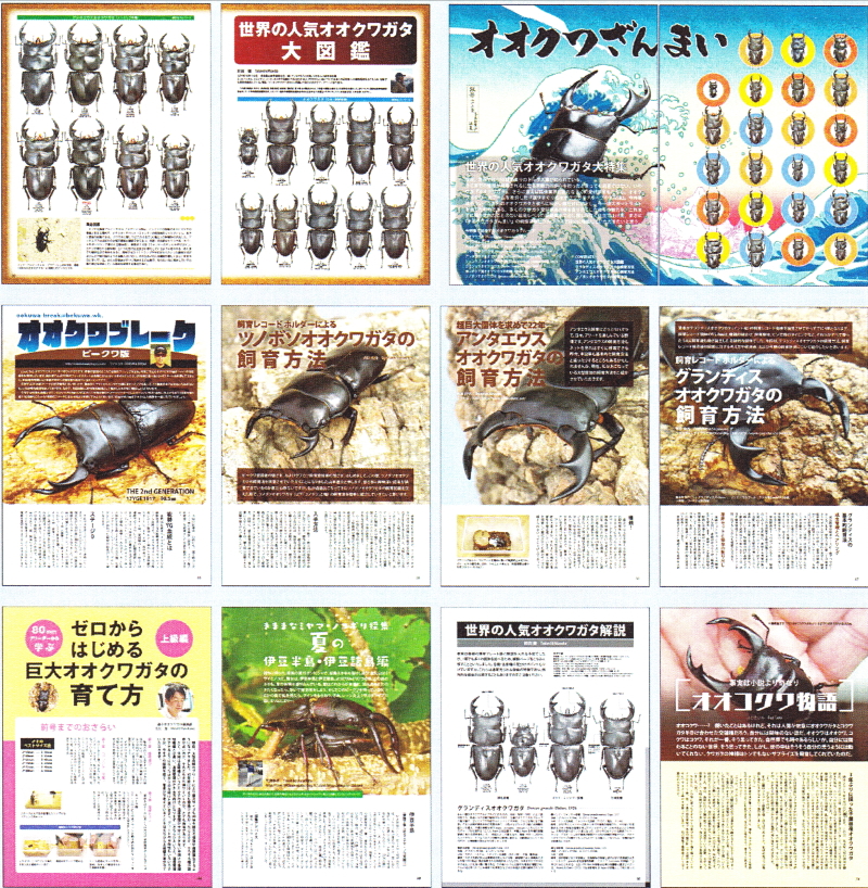ビークワ 多目 BEKUWA 1号〜88号 まとめ売り