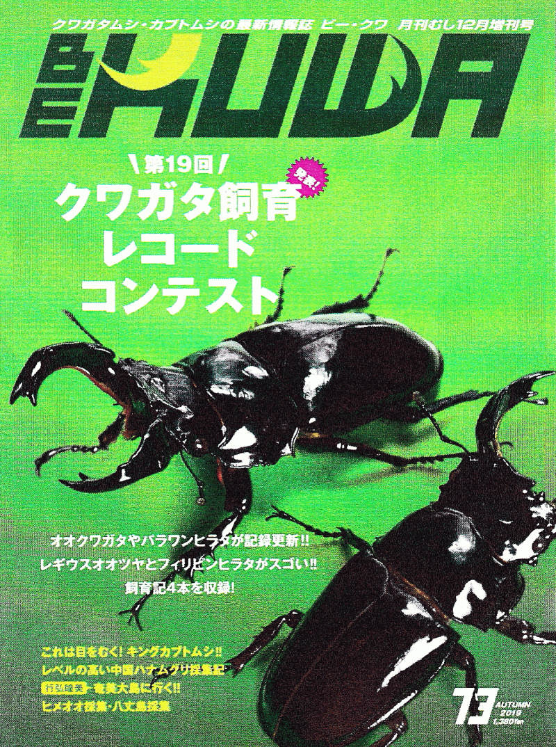 BE・KUWA（ビー・クワ）73号☆第19回クワガタ飼育レコードコンテスト