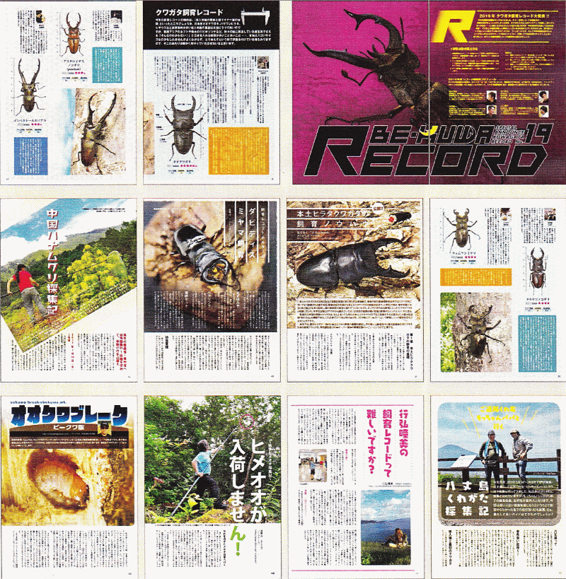 BE・KUWA(ビー・クワ)73号★第19回クワガタ飼育レコードコンテスト