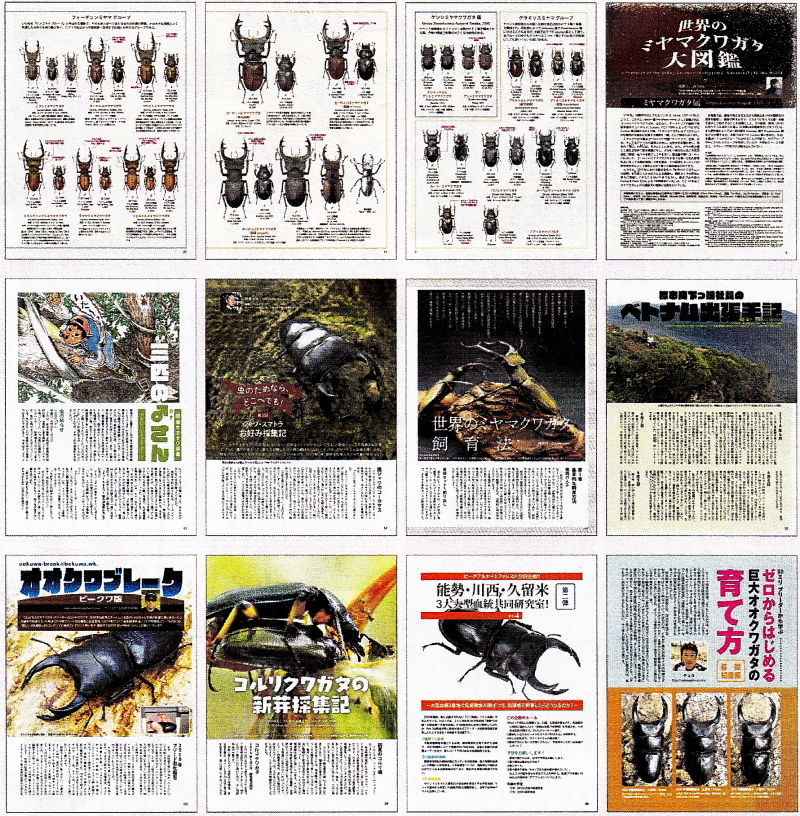 極稀少 BE KUWA ビークワ 47号 日本のミヤマクワガタ大特集 - 趣味