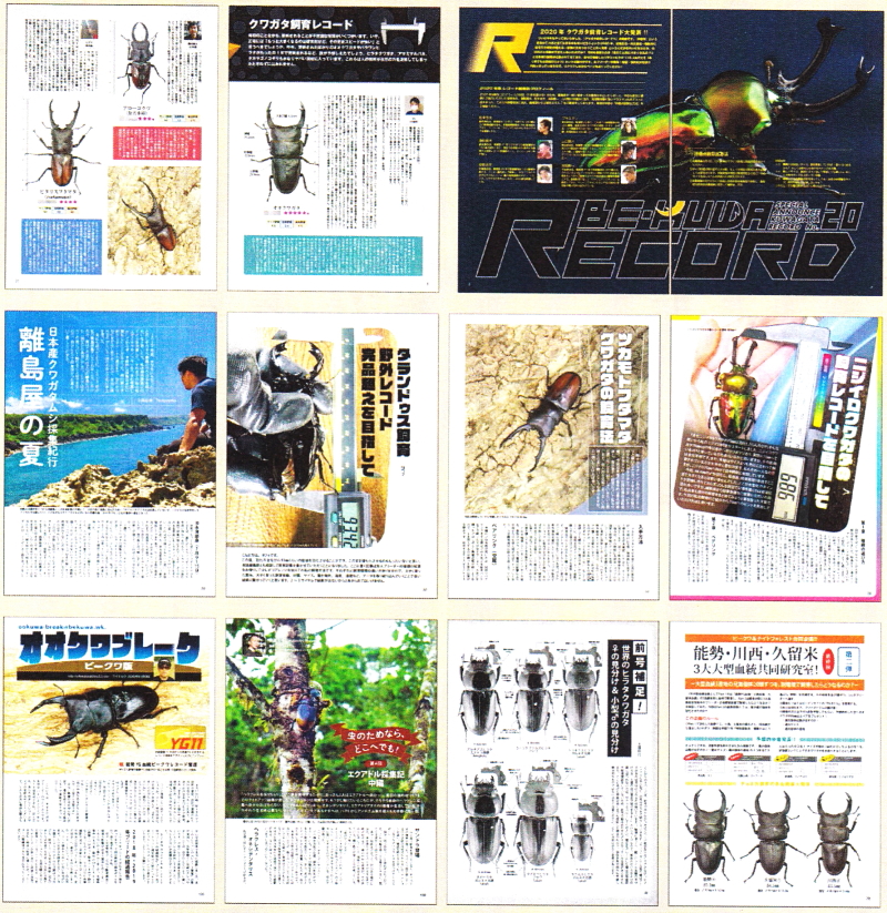 BE・KUWA（ビー・クワ）77号★飼育レコードコンテスト