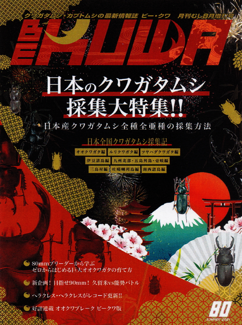 世日本のクワガタムシ採集大特集!!