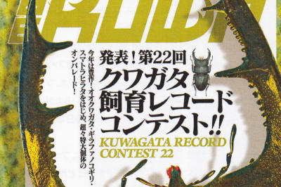 BE・KUWA（ビー・クワ）85号★飼育レコード発表！
