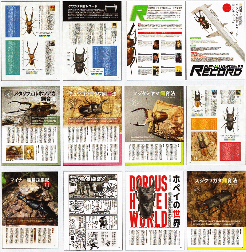 BE・KUWA（ビー・クワ）89号★飼育レコード発表号