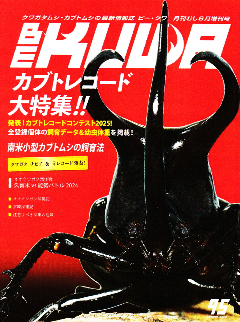 カブトレコード大特集!!