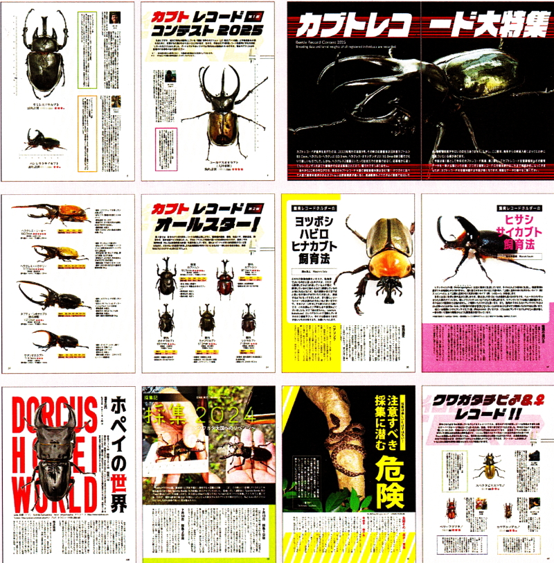BE・KUWA(ビー・クワ)95号