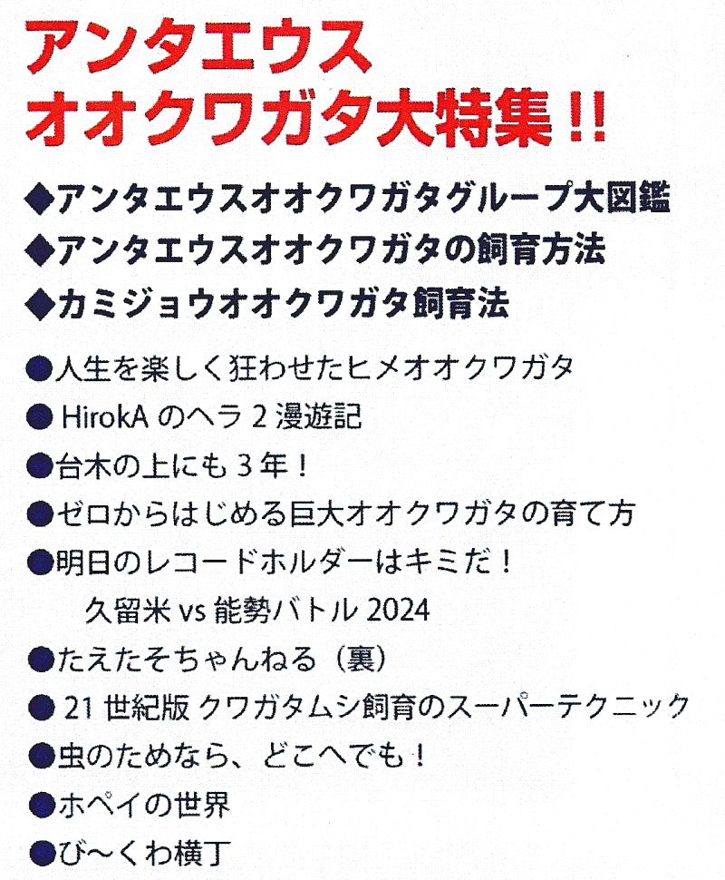 アンタエウスオオクワガタ