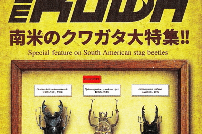 BE・KUWA（ビー・クワ）98号★南米のクワガタ大特集!!