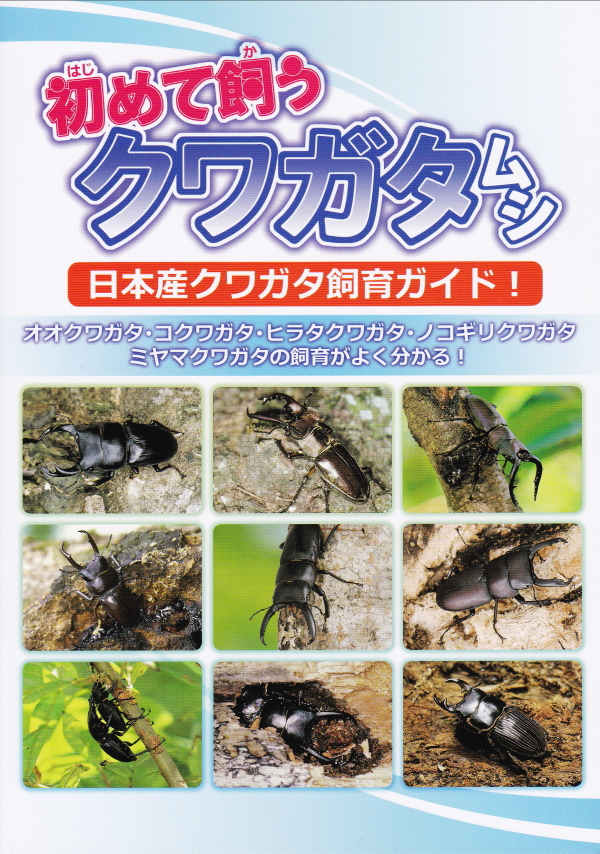 虫研　クワガタムシシリーズⅢ　ビデオ　カワラタケの世界　スーパー飼育法