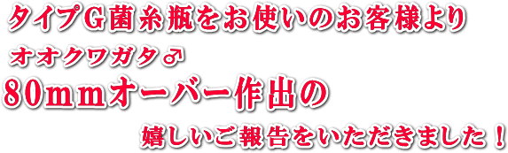 菌糸ビン飼育報告