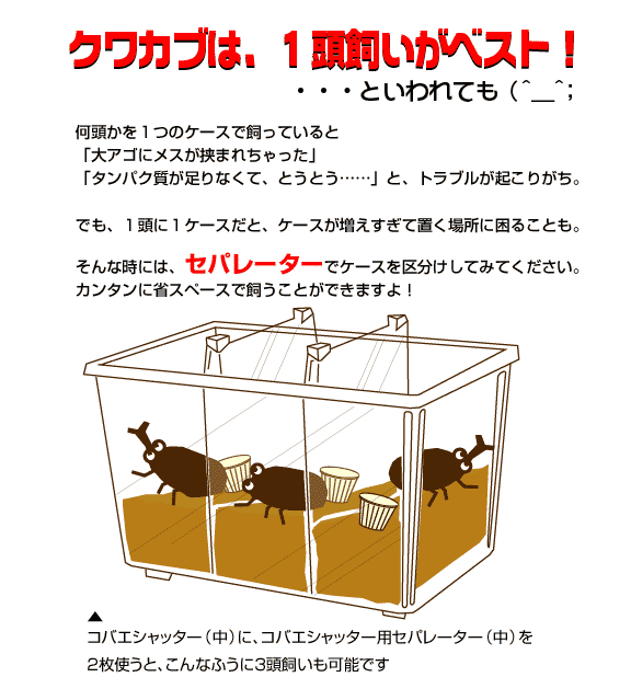 コバエシャッターなど 飼育セット コバエ進入防止用の飼育容器 セパレートケースの販売