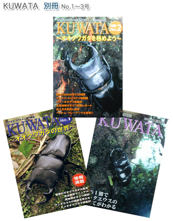 KUWATA別冊