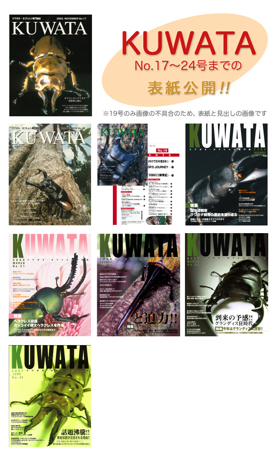 KUWATA　17～24号