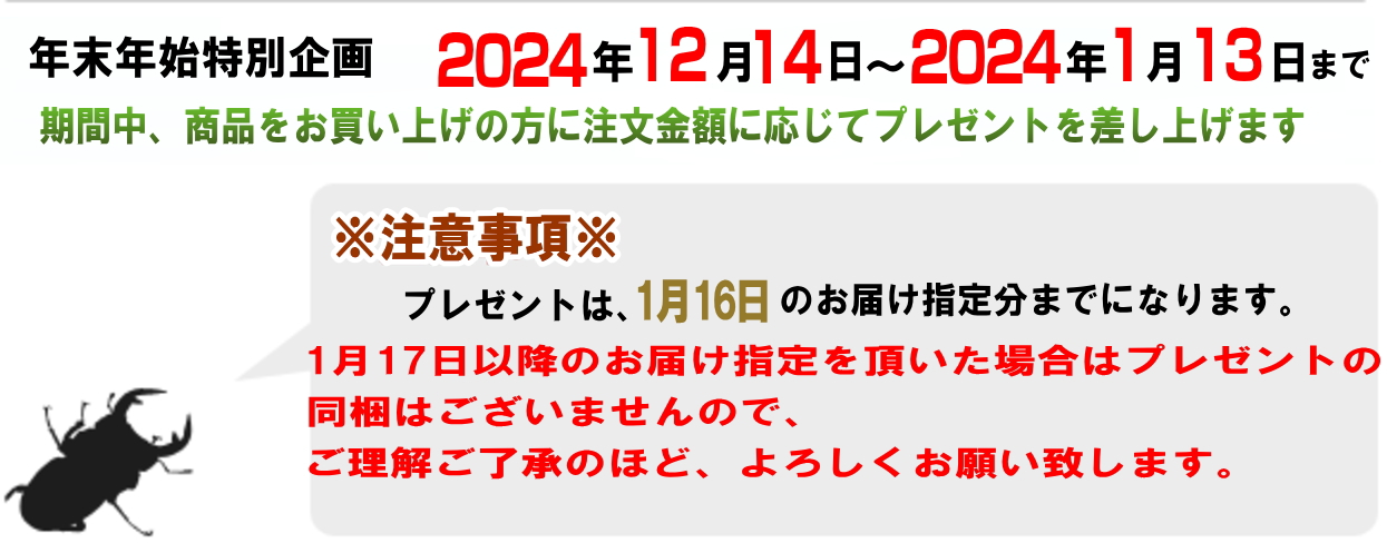 クワガタ カブトムシ 年末 年始 新春 特売 福袋 セール