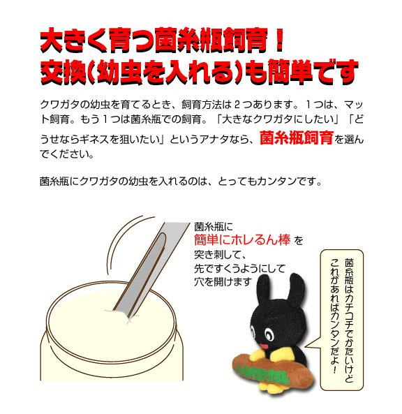 タイプＧ　菌糸瓶 11