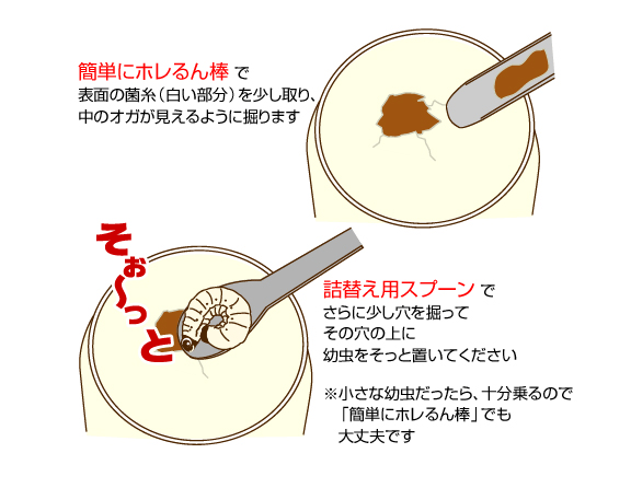タイプＧ　菌糸瓶 8