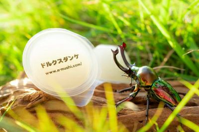 昆虫ゼリー 国産 新タイプ昆虫ゼリーHigh effect 【 Ver.2】｜ドルクス 